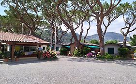 Camping Roma Hotel