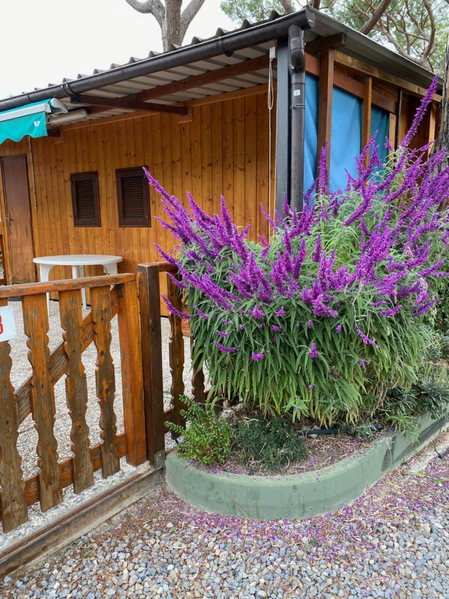 Camping Roma Ventimiglia Buitenkant foto