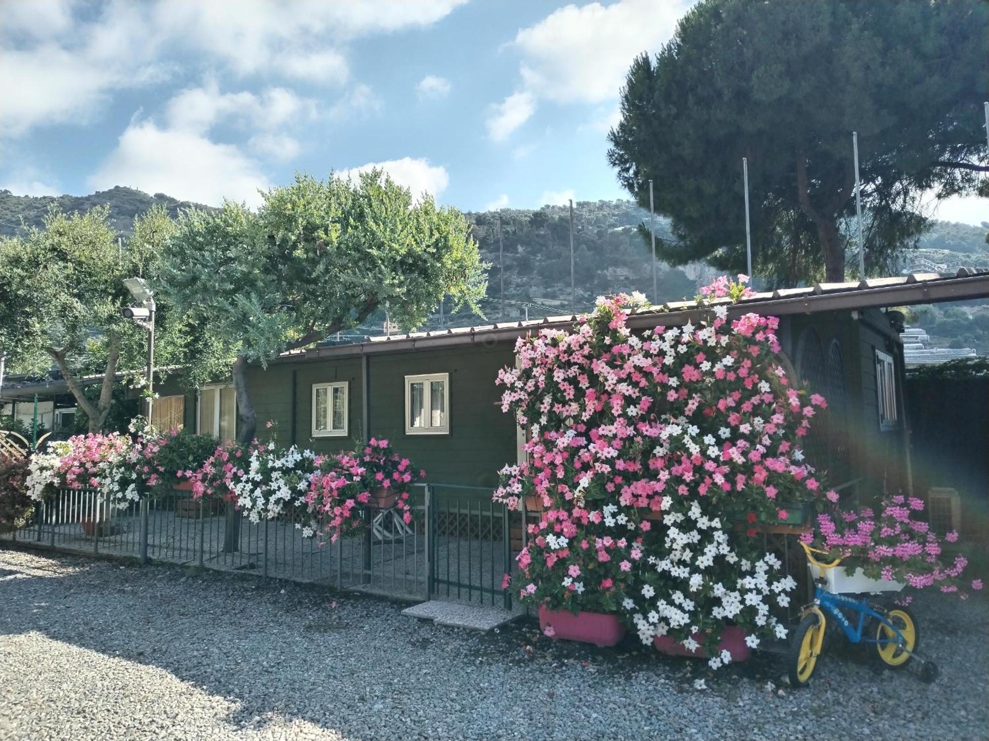 Camping Roma Ventimiglia Buitenkant foto