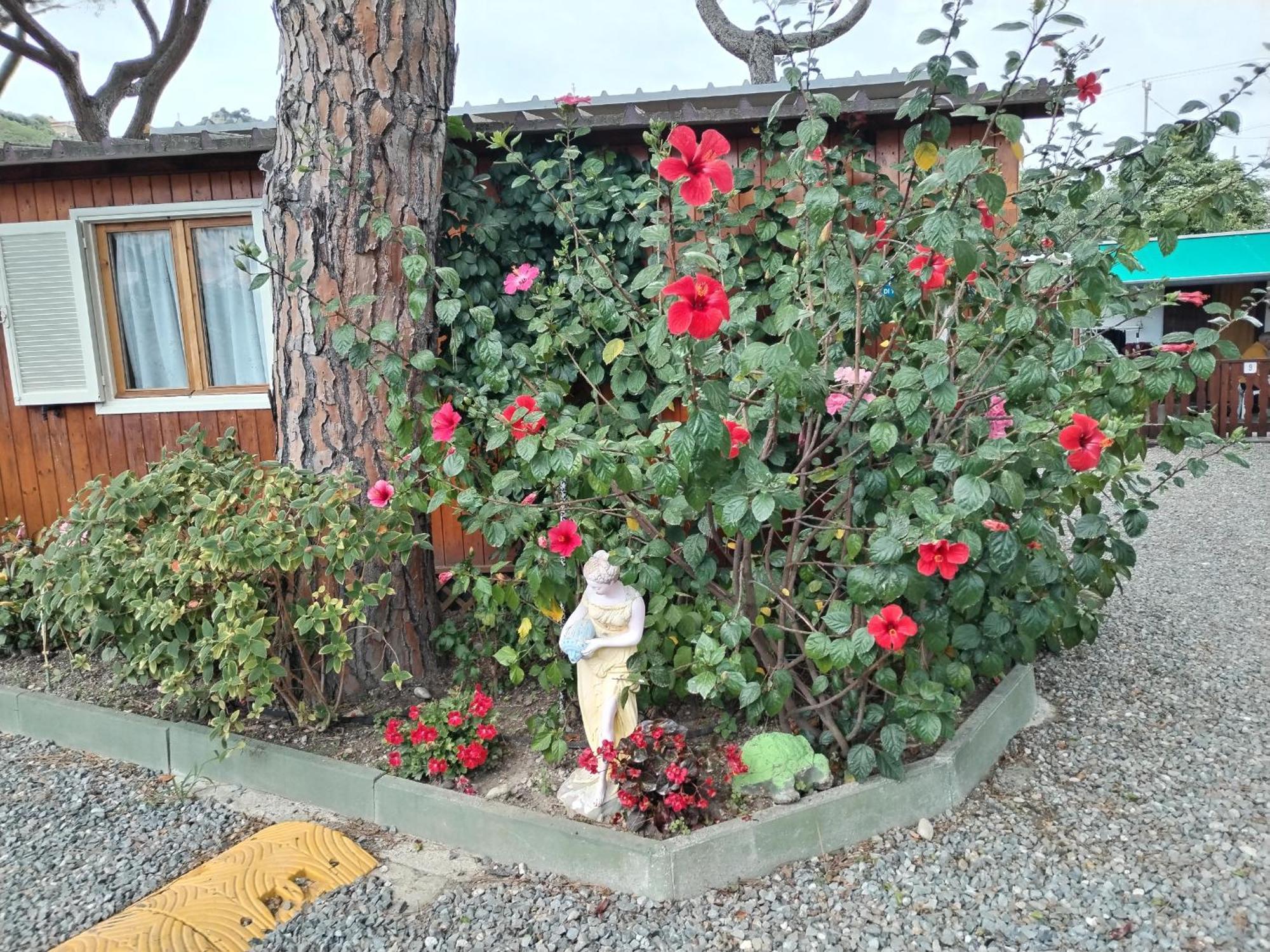 Camping Roma Ventimiglia Buitenkant foto