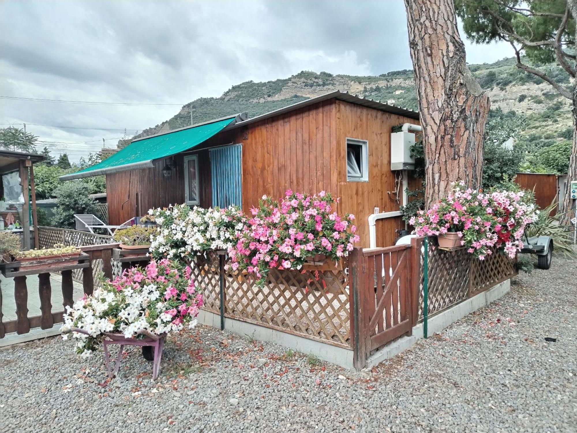 Camping Roma Ventimiglia Buitenkant foto