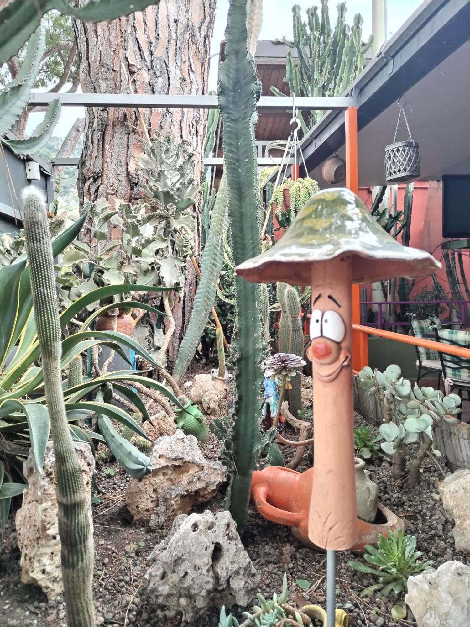 Camping Roma Ventimiglia Buitenkant foto