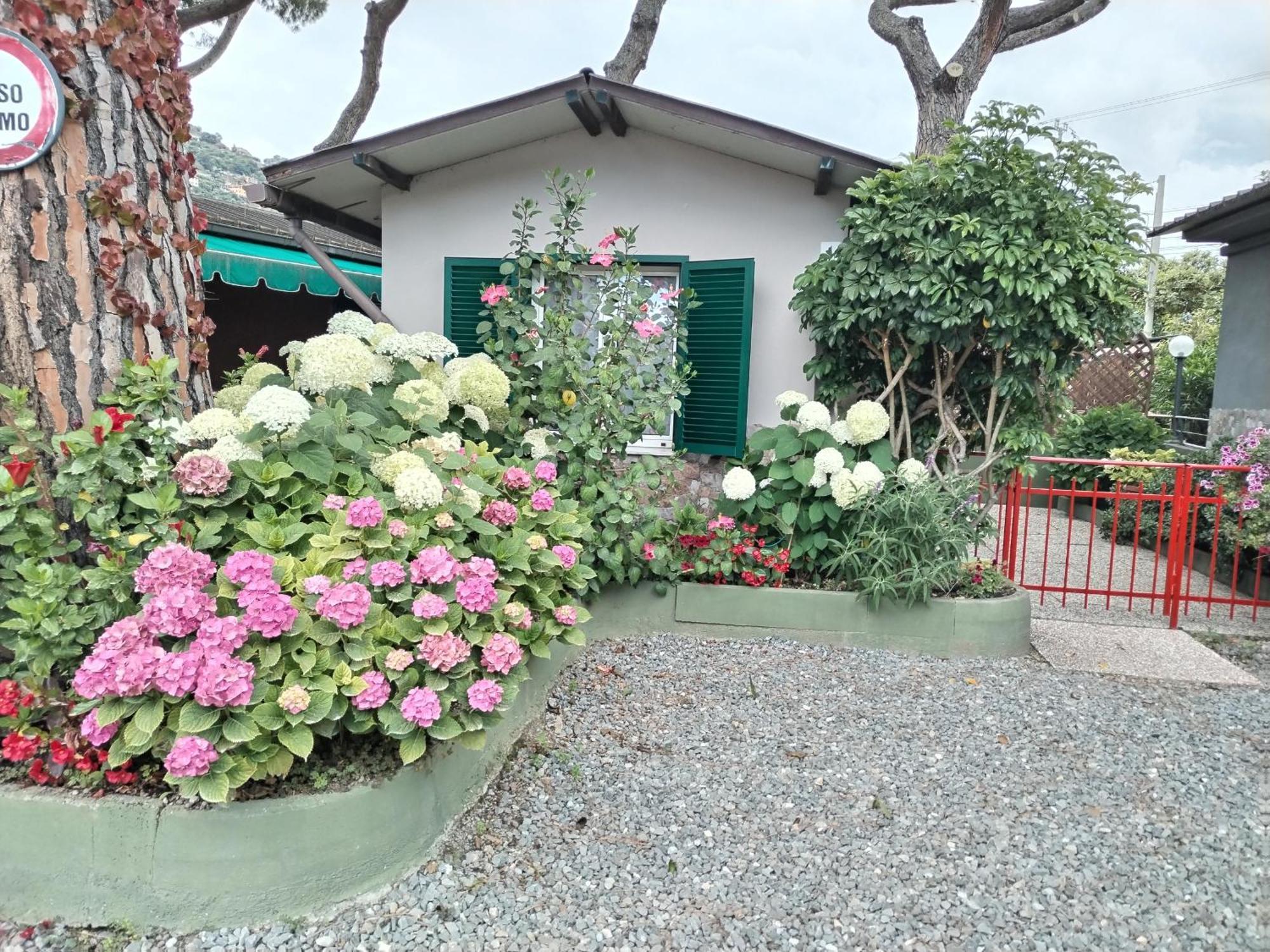 Camping Roma Ventimiglia Buitenkant foto